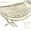 Jarom�r Pelc