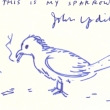 John Updike